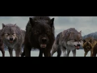 Sam, Paul, Brady & Colin prepare for battle