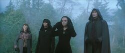 The volturi 65787