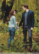 Scans-People-Twilight-Collector-s-Edition-edward-and-bella-8706243-1368-1884