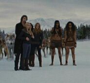 Gallery:Amazon coven | Twilight Saga Wiki | Fandom