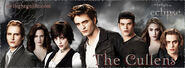 Cullens-graphic