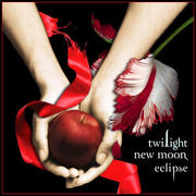 Twilight New Moon Eclipse