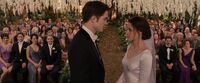 BreakingDawnPt1-0597