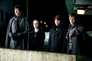 Volturi67