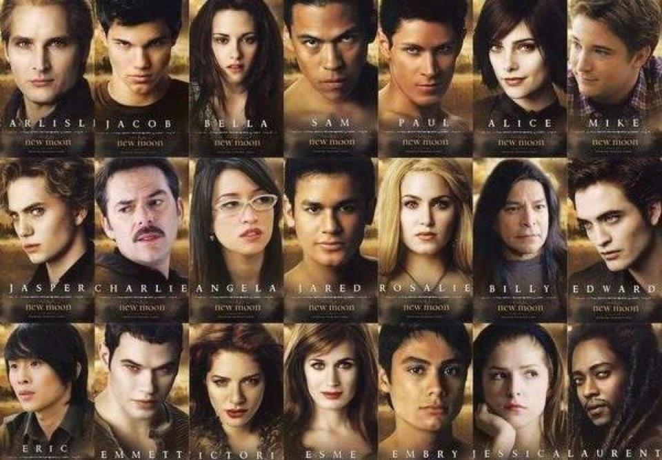 Midnight Sun, Twilight Saga Wiki