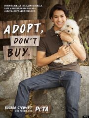 BOOBOO-STEWART-PETA-AD