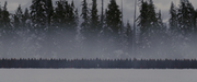 300px-Entireguard.png