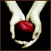 Twilight apple 75x75