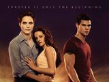 Breaking Dawn - Part 1