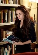 BD2Bella1600x880