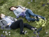 The meadow