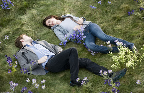 edward and bella in the meadow breaking dawn part 2