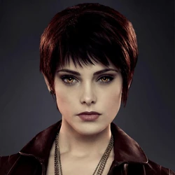 Midnight Sun, Twilight Saga Wiki