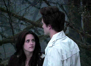 Kristenstewartandrobertpattinson