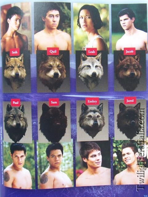 Wolf Pack Group Photo Twilight T-Shirt