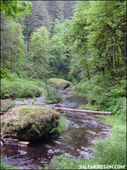 Northforkdownstream