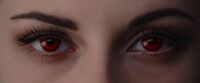 Bella-vampire-eyes