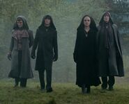 Confronting the Cullens