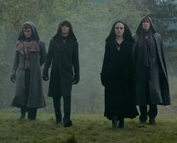 Volturi | Twilight Saga Wiki | Fandom