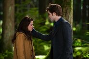 before edward leaves bella