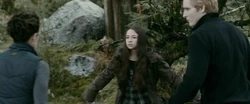 Carlisle et Emmett face à Bree