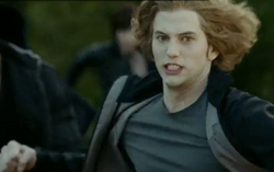 Jasper running into the fight.