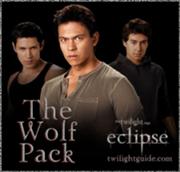 180px-Wolf-1-pack-eclipse