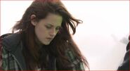 Behind-The-Scenes-New-Moon-twilight-series-21780701-1059-577