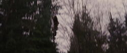 Breaking-dawn2-movie-screencaps.com-3485
