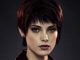 Alice Cullen