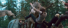 Twilight-saga-eclipse-werewolves-attack-newborn-vampires