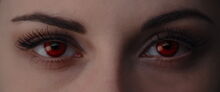 Breaking-dawn1-movie-screencaps.com-12558