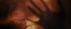 Breaking-dawn2-movie-screencaps.com-982