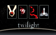 Twilight Saga Books Wallpaper by miratio