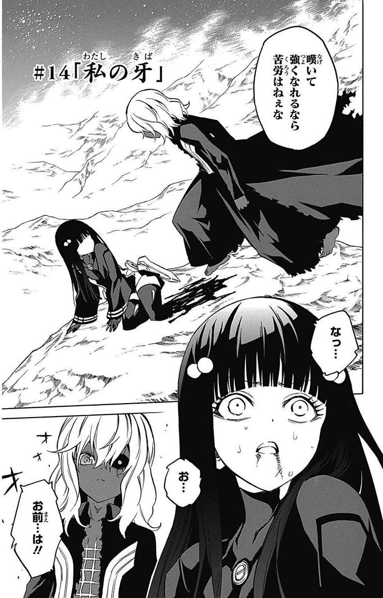 Twin Star Exorcists, Vol. 14: Onmyoji