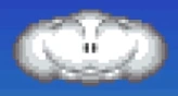 Cloud - Oshaberi Parodius - 01.png (15 KB) Jikkyō Oshaberi Parodius