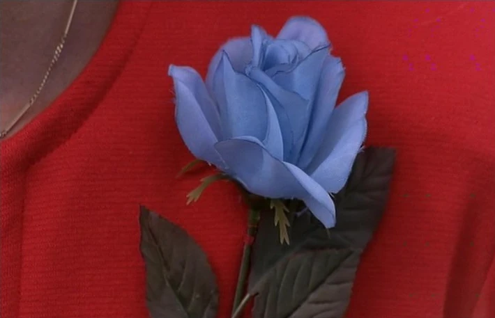 Blue Rose | Twin Peaks Wiki | Fandom