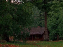 Log Lady's сabin (1989)