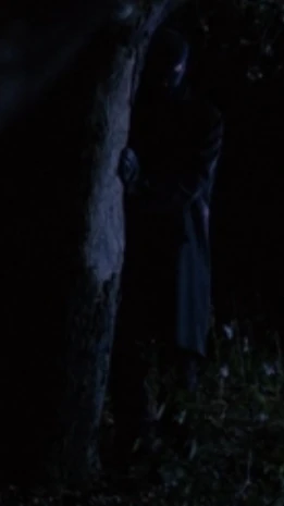 Man behind tree | Twin Peaks Wiki | Fandom