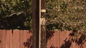 Utility pole near Carrie Page's house.