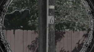 Utility pole from the Andy's vision
