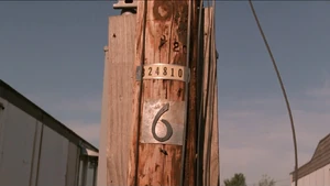 Utility pole at the Fat Trout Trailer Park