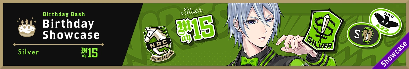 Banner Silver Birthday Jacket Showcase