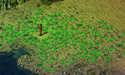 TI Tiberium Riparius.png