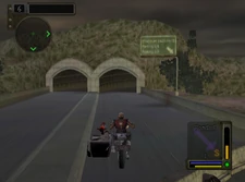 Mr. Grimm jumps to get a better view. Just for you.