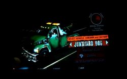 Tm2011junkyarddog.jpg