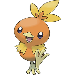 255Torchic