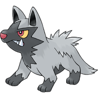 261Poochyena