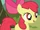 Apple Bloom