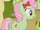 Apple Blossom